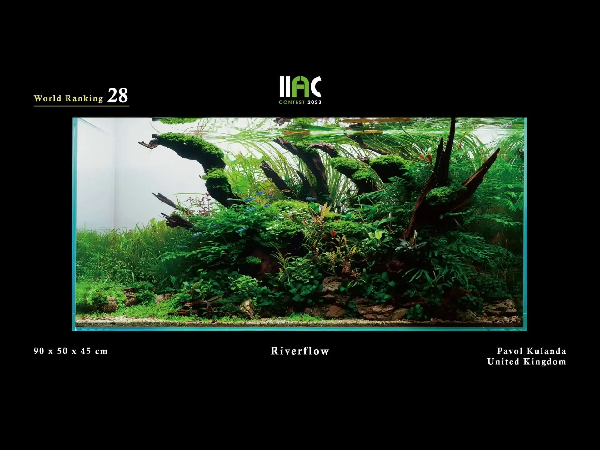 Riverflow - IIAC 2023 #28 Pavol Kulanda / United Kingdom